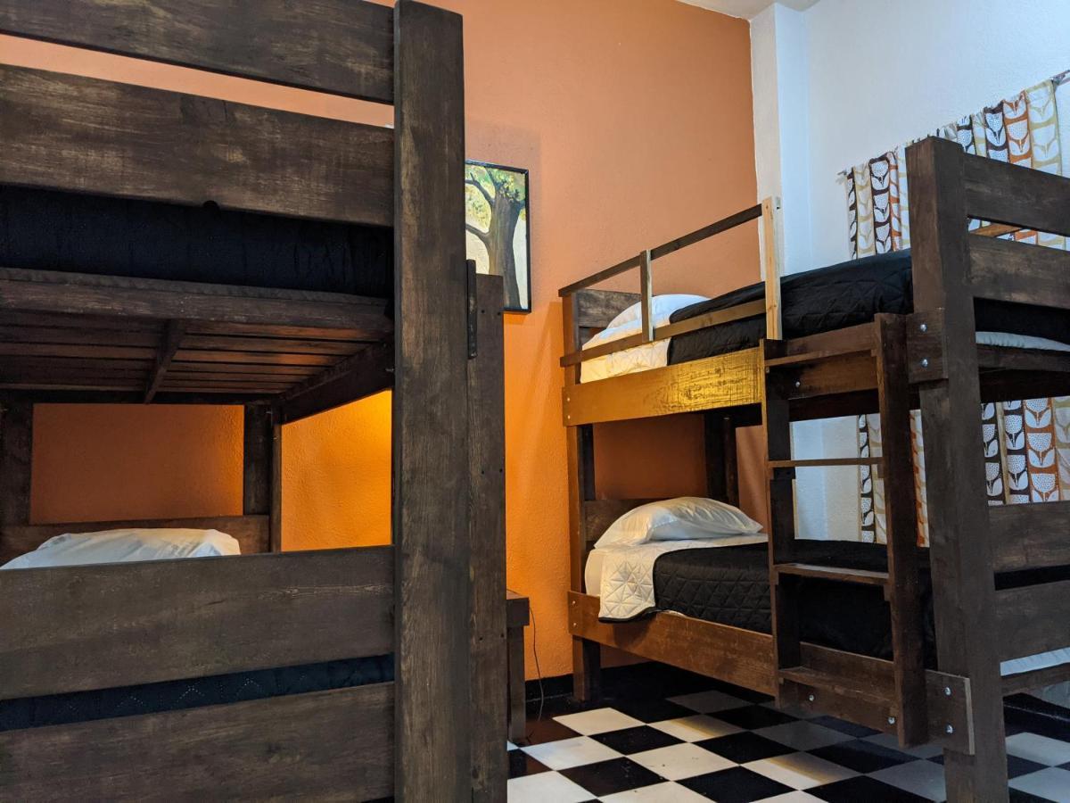 My Family In Monterrey - Hostel 外观 照片