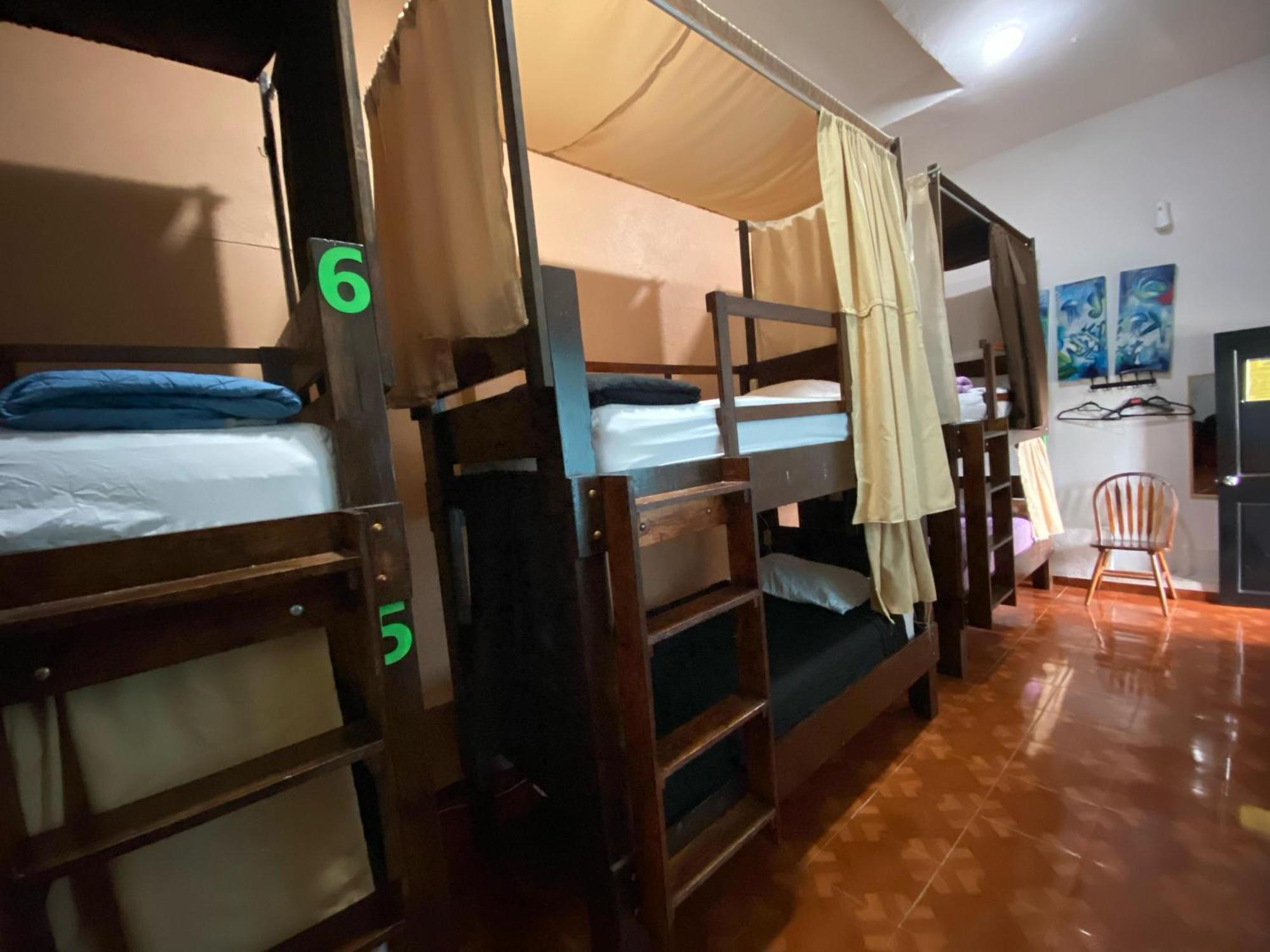 My Family In Monterrey - Hostel 外观 照片