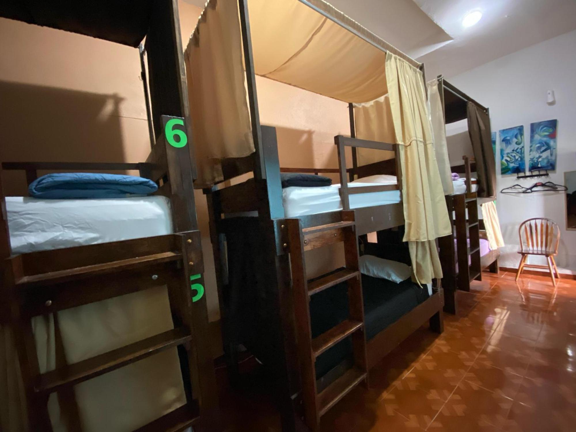 My Family In Monterrey - Hostel 外观 照片